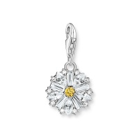 Thomas Sabo Charm, колекция Charm Club