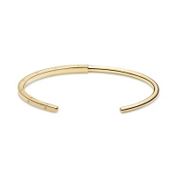 Pandora твърда гривна Сезони