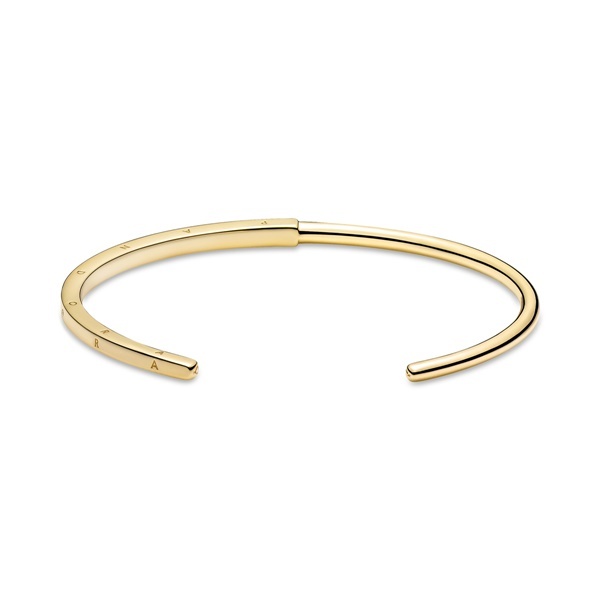 Pandora твърда гривна Сезони