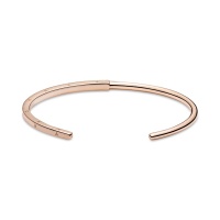 Pandora твърда гривна Сезони