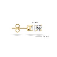 Blush Обеци 14k