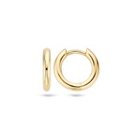 Blush Обеци 14k