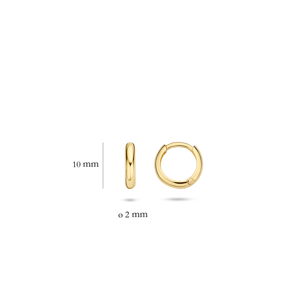 Blush Обеци 14k