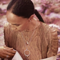 Pandora Осигурителна верижка клипс Вълнуваща история