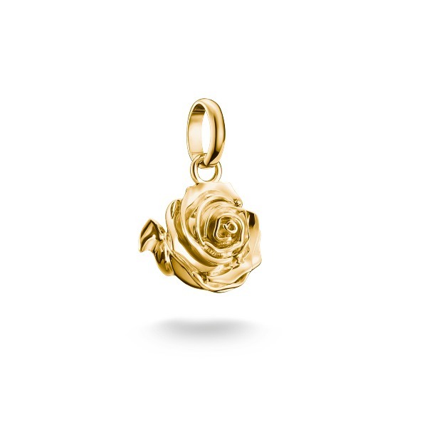 Thomas Sabo Charm Connect Charm