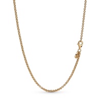 Pandora ВерижкаPandora възможност