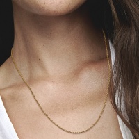 Pandora ВерижкаPandora възможност