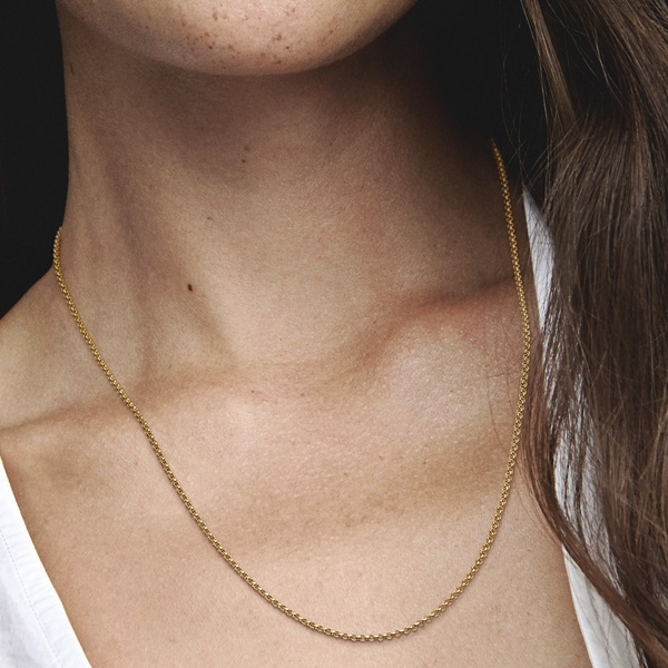 Pandora ВерижкаPandora възможност