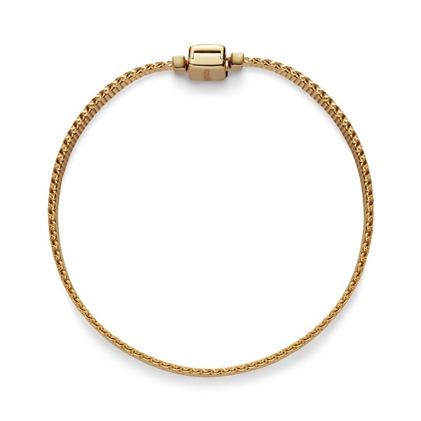 Pandora Reflexions гривна